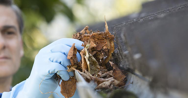 Gutter Cleaning Service Roselle, New Jersey