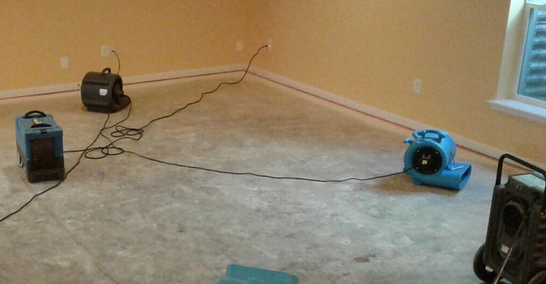 Water Damage Restoration Fairview, New Jersey Mold Remediation
